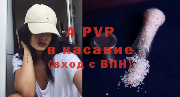 PSILOCYBIN Вяземский