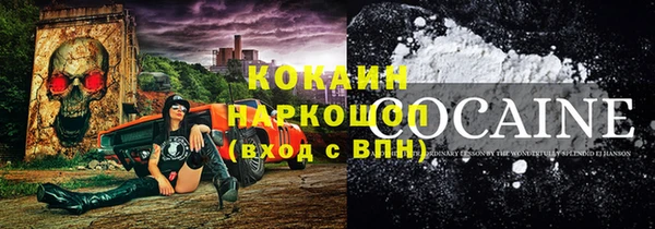 PSILOCYBIN Вяземский