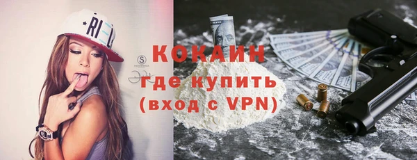 PSILOCYBIN Вяземский