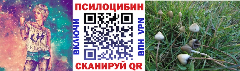 как найти закладки  Гусиноозёрск  Псилоцибиновые грибы Psilocybine cubensis 